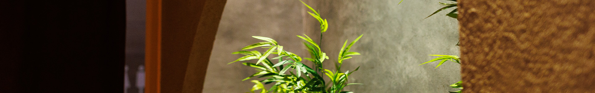 初めてご来店のお客様へ